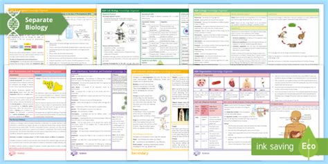 This pack contains all six knowledge organisers, one for each of the Year 6 science topics. . Biology knowledge organiser